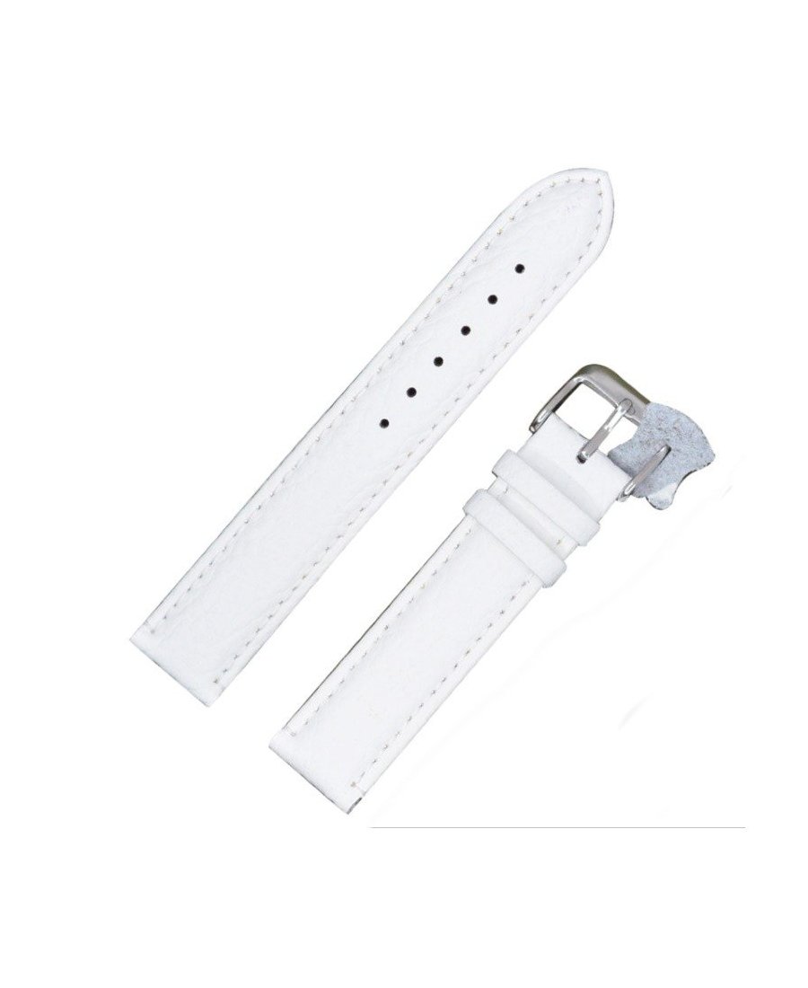 Watch Strap Diloy P205.22.14