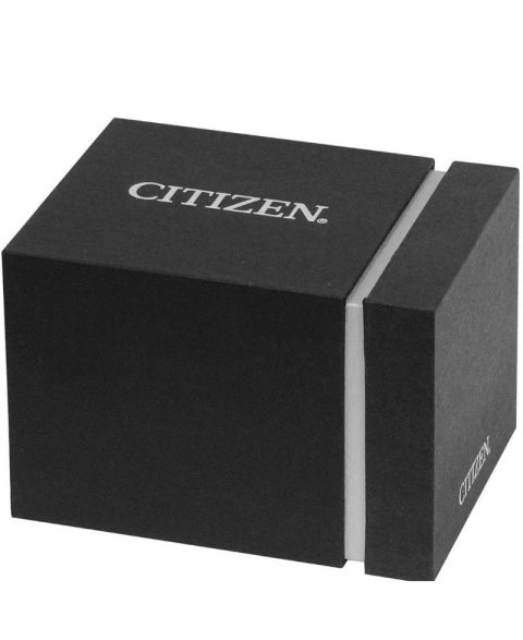 Citizen Eco-Drive FE2110-81A